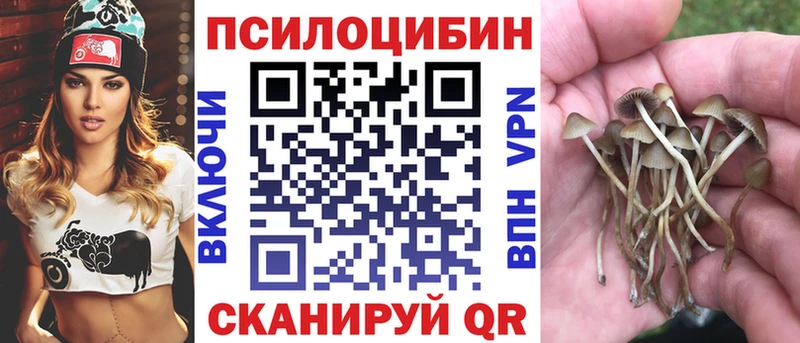 Псилоцибиновые грибы Magic Shrooms  Гаджиево 