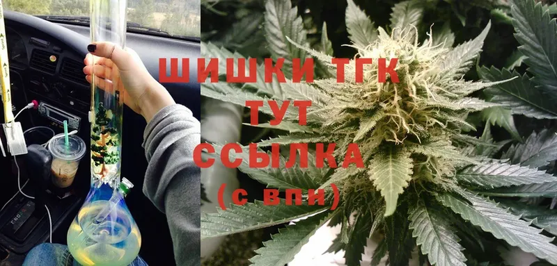 купить наркоту  Гаджиево  Каннабис SATIVA & INDICA 